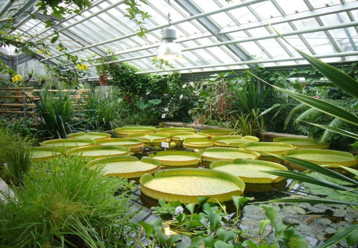 Красивейшие ботанические сады мира, 40 фото
