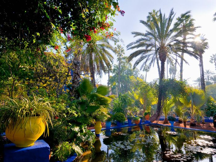 Красивейшие ботанические сады мира, 40 фото