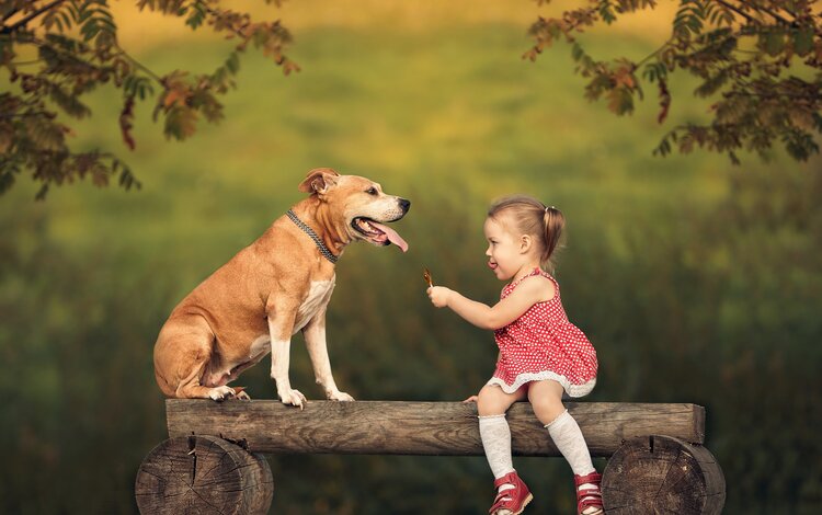 Ребенок обнимает собаку фото