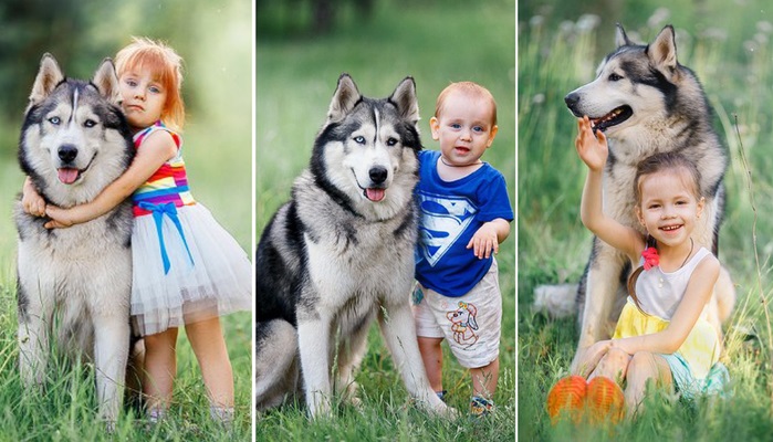 Собаки и дети, 50 милейших фотографий
