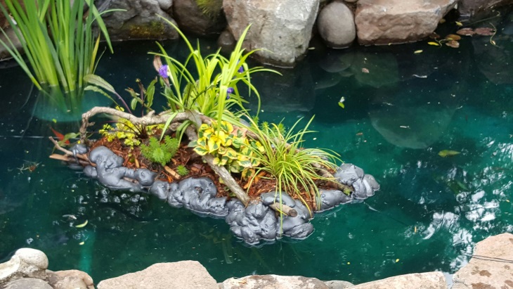 Плавающие клумбы: 30 потрясающих фотоидей для вашего сада
