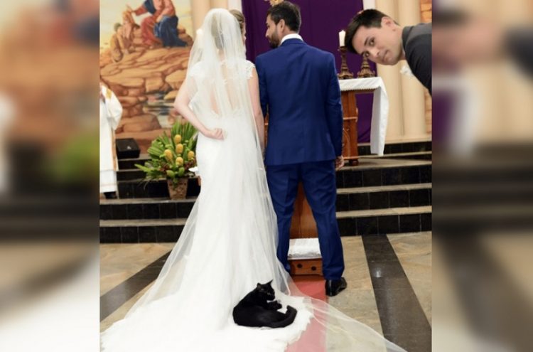 Funniest Wedding Photos of all Time