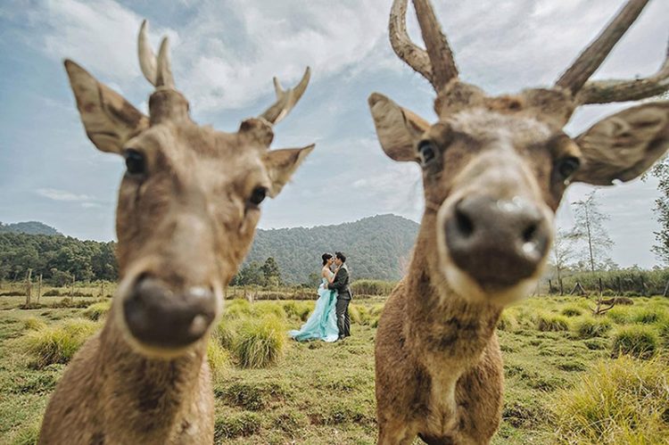 Funniest Wedding Photos of all Time