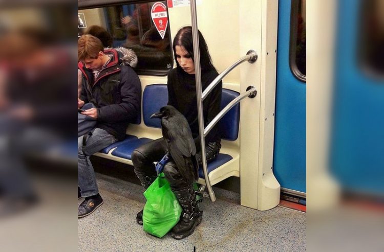 Найсмішніші "модники" в метро: 30 фото