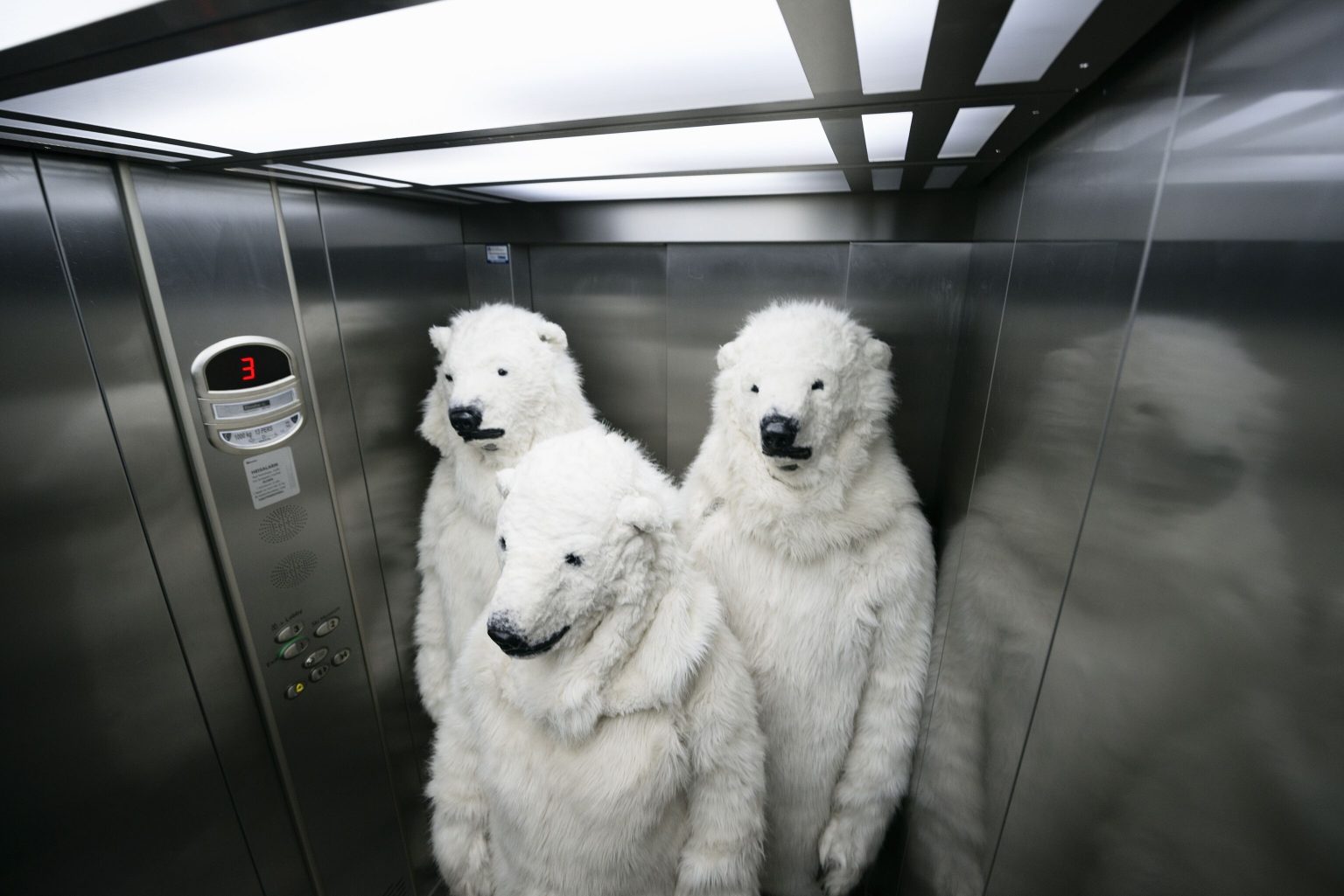 Elevator Oddities: Strange Situations, Big Smiles